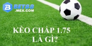 Chi tiết về kèo chấp 1.75 là sao trên website cá độ